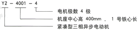 YR系列(H355-1000)高压YKS5004-4三相异步电机西安西玛电机型号说明